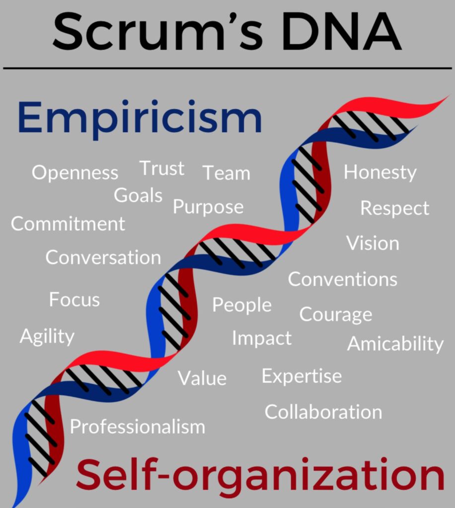 DNA of scrum what is scrum